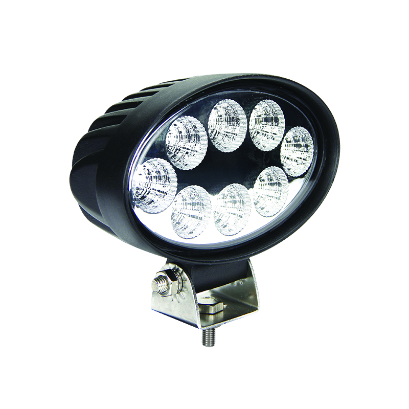 W Oval Flood Lamp